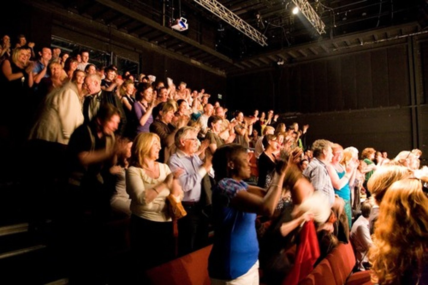 <p>public or audience</p>