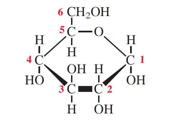 <p>what type of glucose is this and how do u know </p>