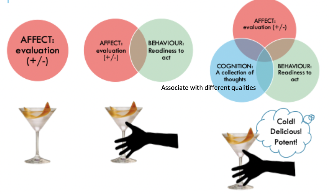<ul><li><p>Affect: evaluation (+/-)</p></li><li><p>Behaviour: readiness to act</p></li><li><p>Cognition: A collection of thoughts</p></li></ul><p></p>