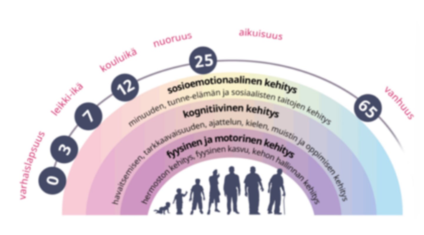 <p>1. fyysinen ja motorinen</p><p>2. kognitiivinen</p><p>3. sosioemotionaalinen</p><p>esim. aivojen fyysinen kehitys vaikuttaa moniin kognitiivisiin toimintoihin, kuten kielen ja puheen oppimiseen.</p><p>Kielen ja puheen oppimisessa taas sosioemotionaalisilla tekijöillä, kuten vuorovaikutuksella muiden ihmisten kanssa, on tärkeä rooli.</p><p>Kielen kehittyminen myös mahdollistaa tunne-elämän säätelyn ja vuorovaikutuksen, jolloin ihminen voi kehittää edelleen esimerkiksi sosiaalisia suhteitaan.</p>