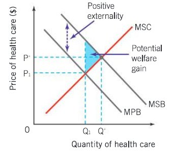 <p>Which externality is this, explain it, and explain how it becomes like this. What can fix it?</p>