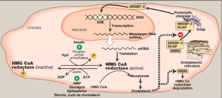 <p>What does the image show</p>