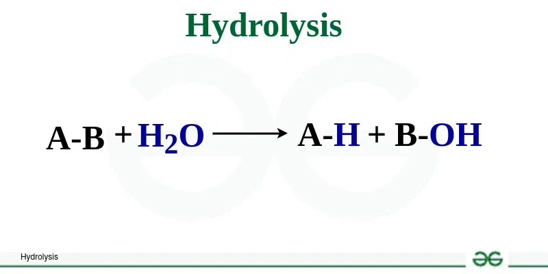 <p><span style="color: rgb(0, 0, 0);">Hydrolysis: Water is broken apart to provide the -H and -OH to put on the<br>ends of the monomers that are broken apart</span></p>