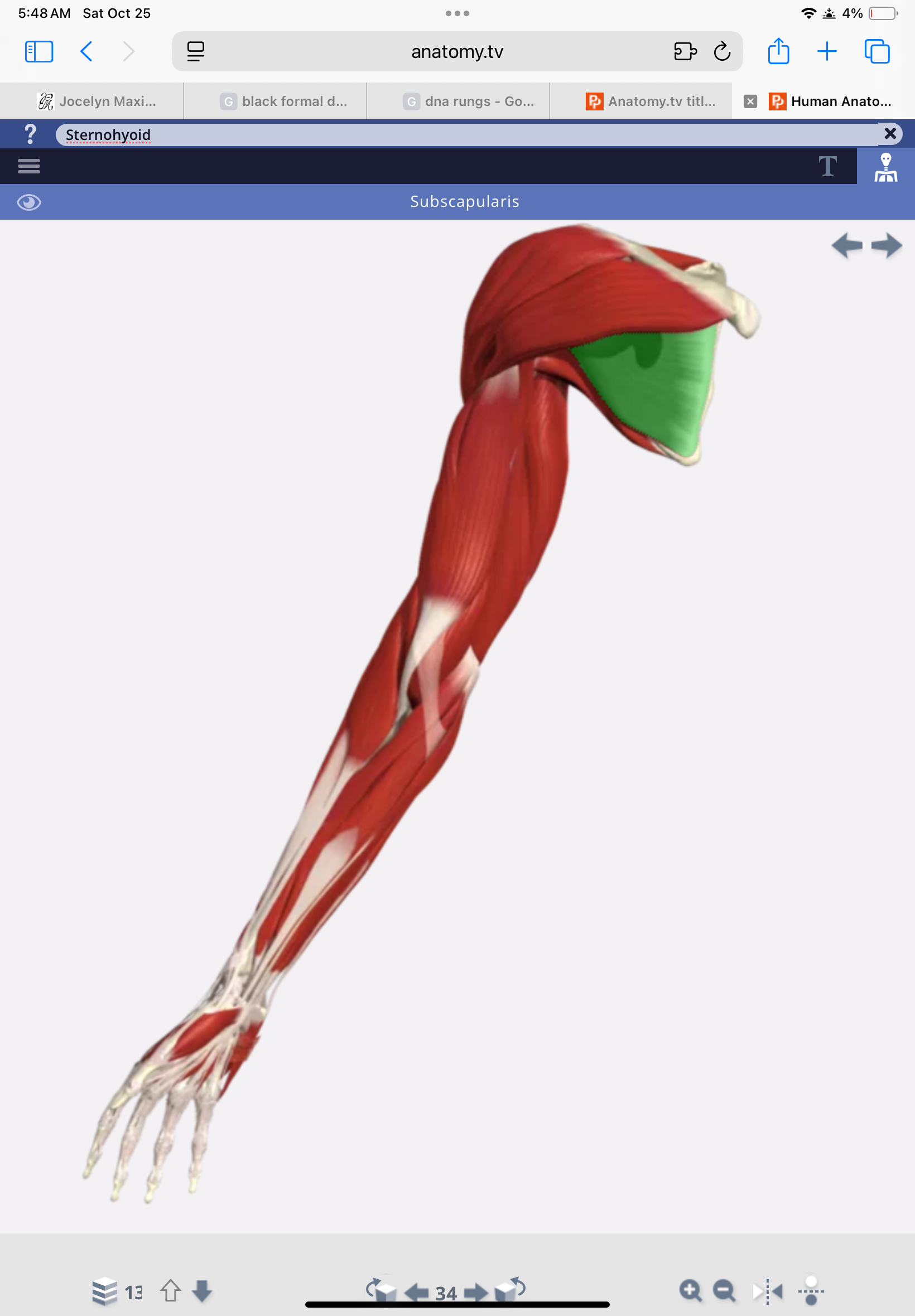 knowt flashcard image