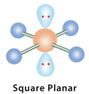 <p><span>electron domain: octahedral</span></p>