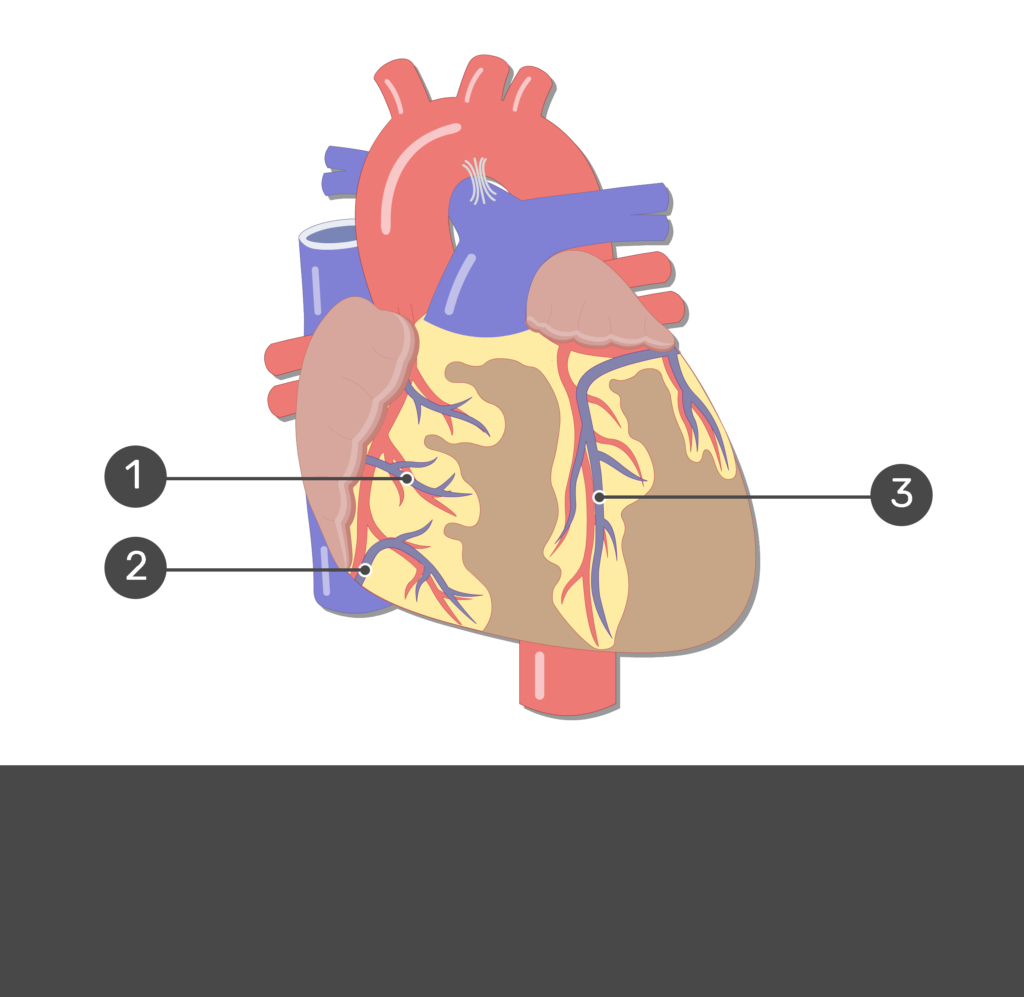 <p>2</p>
