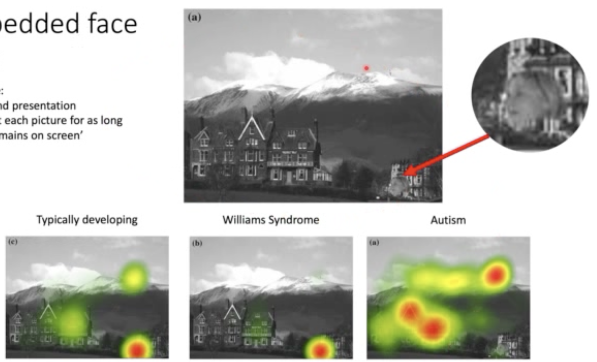 <p>Compared how faces capture the attention of people with autism vs William’s syndrome</p><ul><li><p>Used an embedded face task (basically hide a face in a scene)</p><ul><li><p>Scenes were presented for 5 seconds and they were instructed to look at each picture for as long as they were on the screen</p></li></ul></li><li><p>Also used a scrambled picture task (same thing but a picture was broken into tiles and components of the picture were scrambled, with one containing a face)</p></li></ul><p>Results:</p><p>Embedded Face Task:</p><ul><li><p>There was no difference between William’s and TD in how long it took them to detect the face</p><ul><li><p>However, Willliam’s kids fixated on the face for significantly longer and TD</p></li></ul></li><li><p>ADD kids took significantly longer to detect the face</p><ul><li><p>When they did detect it, they spent less time fixating on it (didn’t care)</p></li></ul></li></ul><p>Scrambled Picture Task:</p><ul><li><p>TD and William’s took the same amount of time to locate the face, but William’s fixated significantly longer</p></li><li><p>ADD did not fixate on faces for long at all</p><ul><li><p>When a fixation was made, it took significantly longer to get there than other groups</p></li></ul></li></ul><p>Summary: Individuals with ADD showed dramatically less face gaze with shorter face fixations (don’t want to look at them, and when they do, make it short)</p><p>Individuals with William’s syndrome exhibit prolonged face fixations and face gaze.</p>