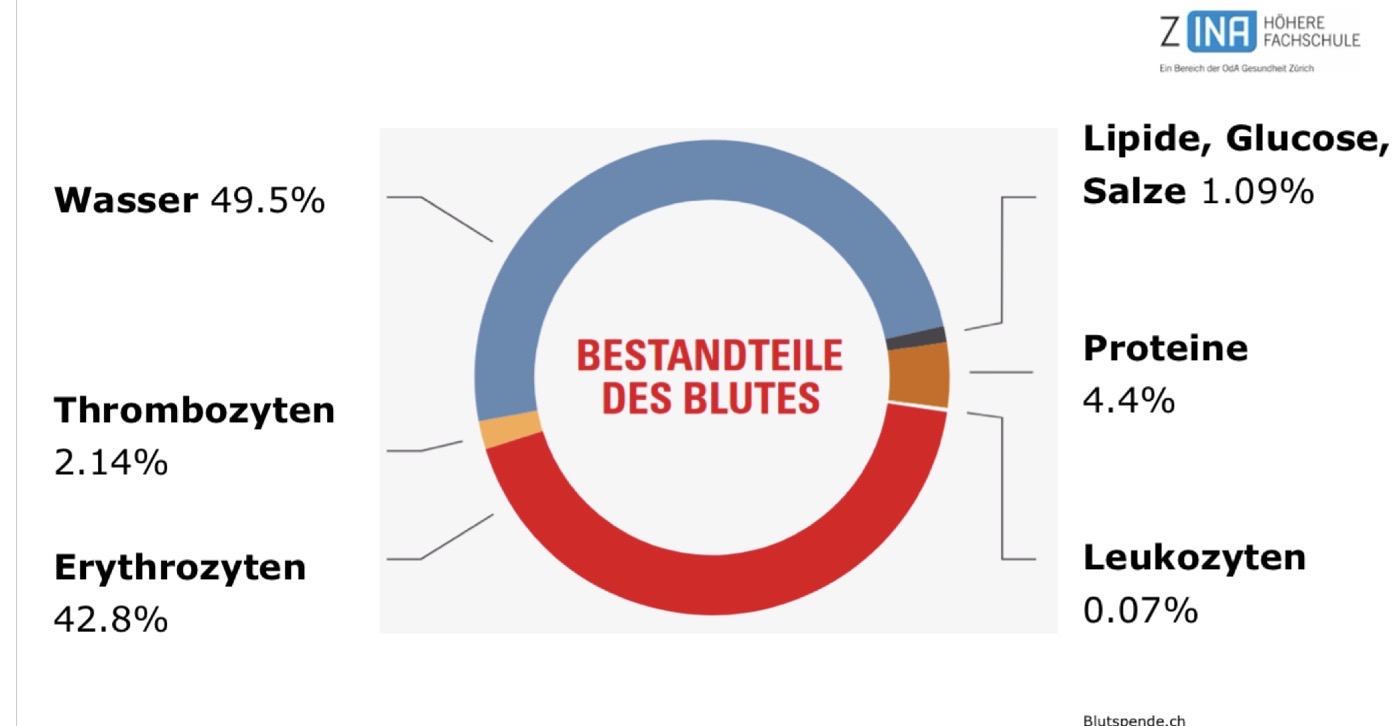 <ul><li><p>Blutplasma → 55% Bestandteil ohne Gerinnung (90% Wasser, (8%p Proteine 2% Elektrolyte)</p></li><li><p>Blutzellen → 45 % Lyphozyten &amp; Thrombozyten</p></li><li><p>Erythorzten </p></li></ul><p></p>