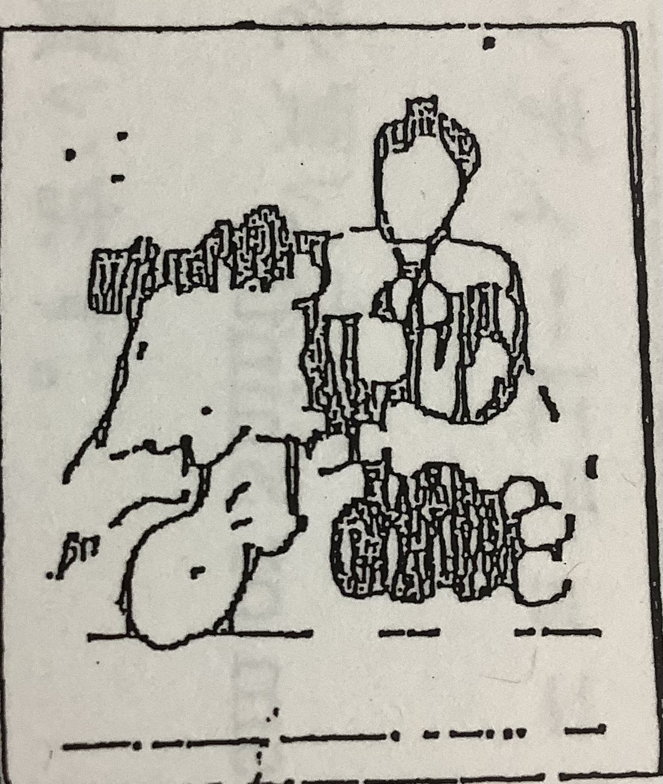 term image