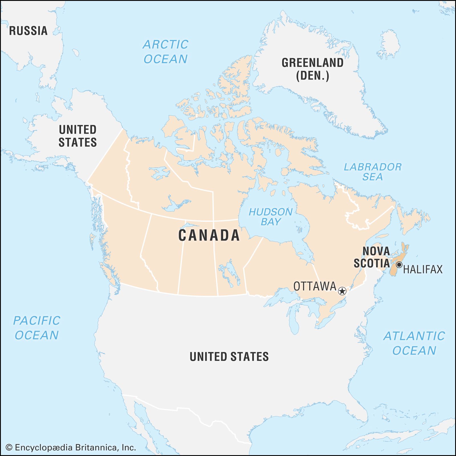 <p>It is located…</p>