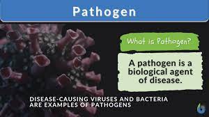 <p><span>Disease organisms and viruses</span></p>