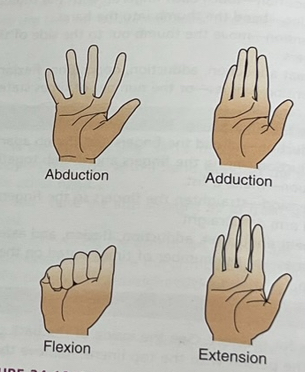 knowt flashcard image