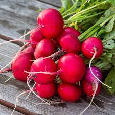 <p>radish (củ cải trắng)</p>