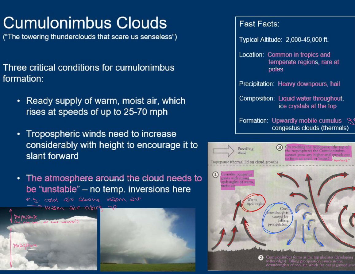 <p>anvil like shape because its so tall it hits tropopause which is warmer and does not allow the cloud to grow further up. anvil shows the direction of the storms movement. bring rain, hail, tornadoes and lightning. Formation: through some trigger like the ground heating air, fronts or mountains, a strong updraft lifts warm, moist, unstable air upwards until it condenses and becomes a cumulus cloud. because the air is unstable (air parcel still warmer than surroundings) this cloud keeps growing upwards (vertical growth) turning into a cumulus congestus and then a cumulonimbus cloud. </p>
