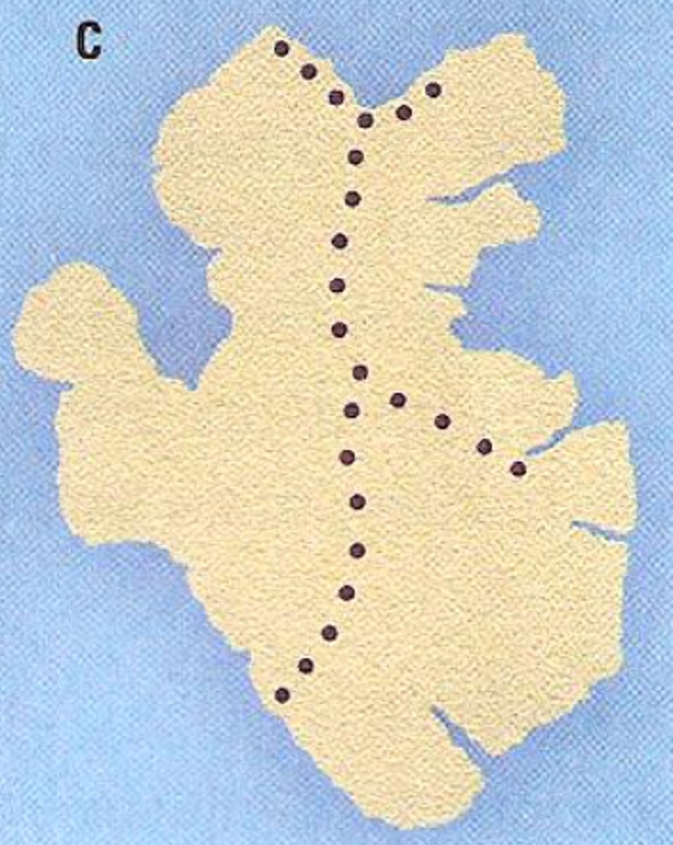 <p>A pattern where individuals are arranged in a line, often along a resource or transportation route.</p>