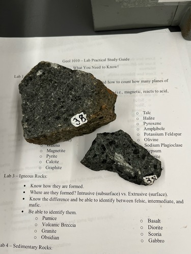 <ul><li><p>Porphyritic</p></li><li><p>Intermediate/mafic </p></li><li><p>Extrusive</p></li><li><p>Large dark minerals in fine grains</p></li></ul>