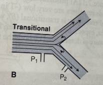 <p>As the flow rate is increased, unsteadiness develops, especially at branches and separation of the stream lines from the wall may occur, with the formation of local eddies</p>