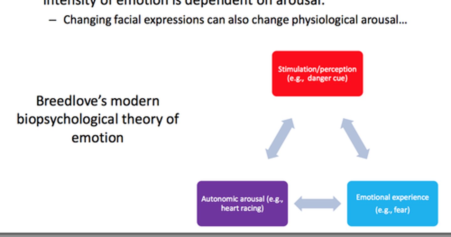 <p>states that perception, psychological reactions, and emotional experience (feelings) are mutually influential</p>