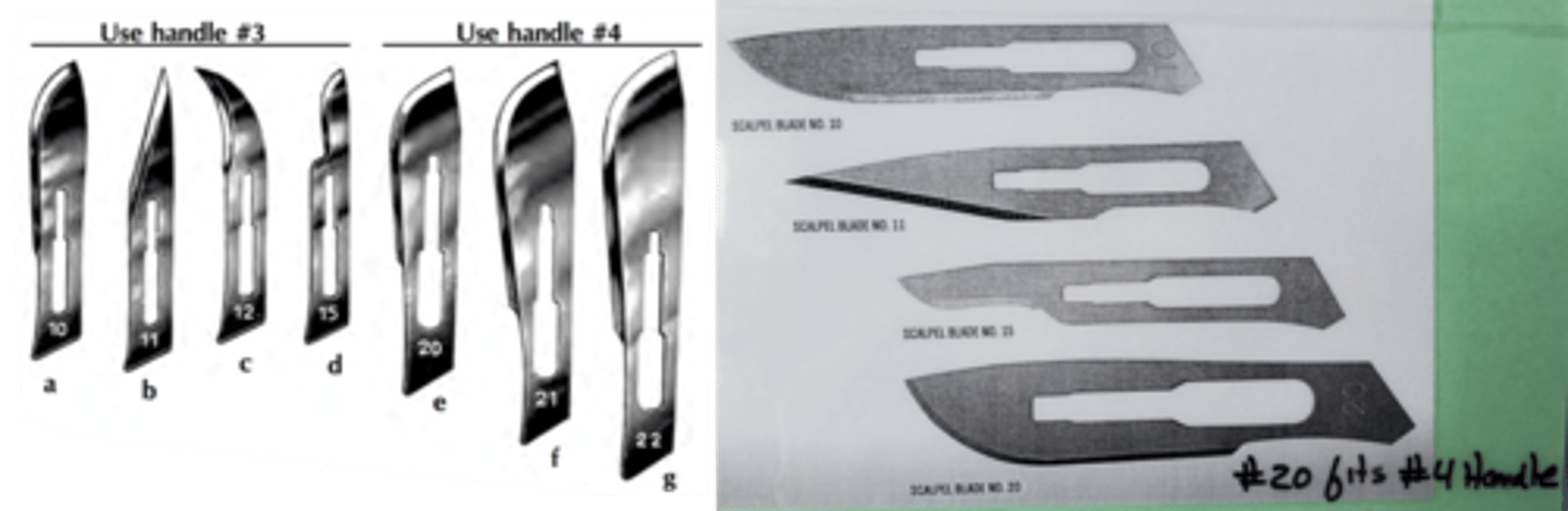<p>Incising or separating tissue</p>
