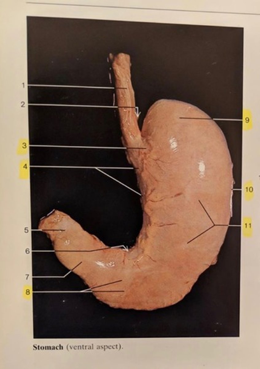 <p>3</p>