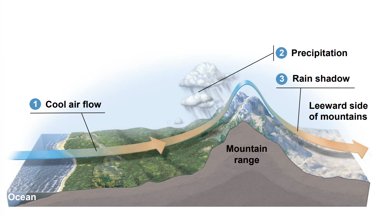* During the day, air rises over warm land and  draws a cool breeze from the water across the  land 
*  As the land cools at night, air rises over the  warmer water and draws cooler air from land back  over the water, which is replaced by warm air from  offshore