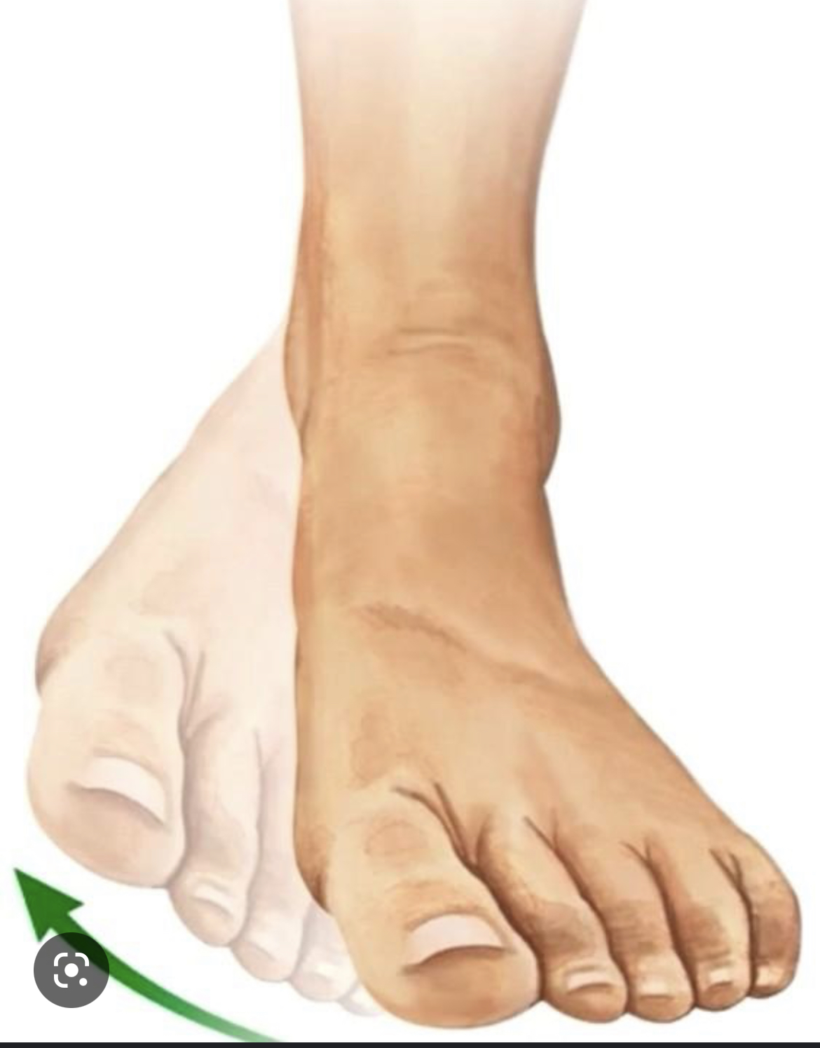 What’s the name of this movement