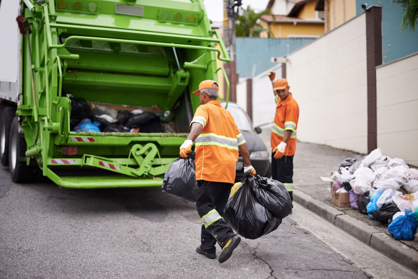 <p>garbage collector </p>