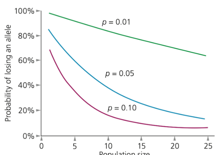 <p>What does this graph tell us?</p>