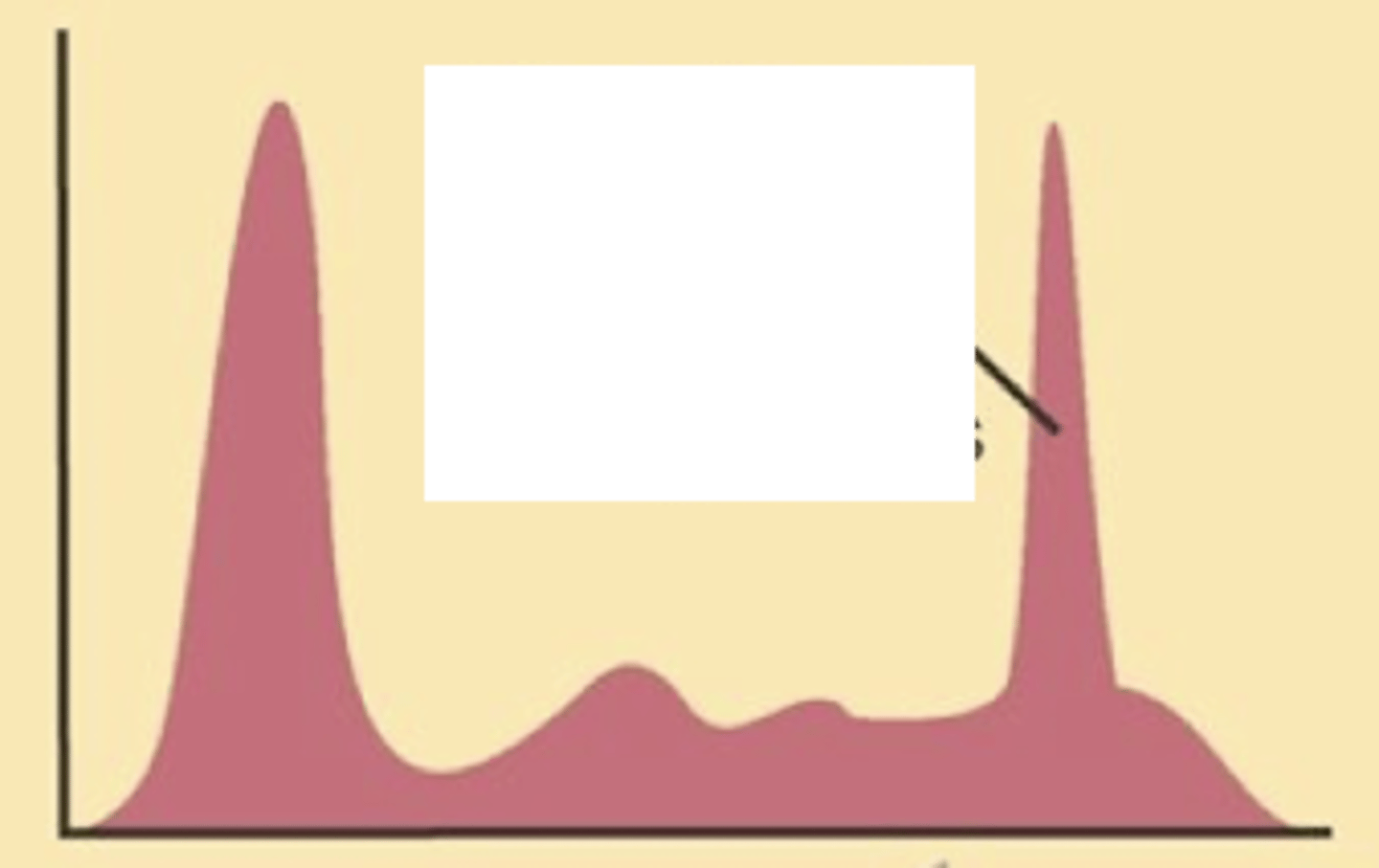 <p>Describe the serum electrophoresis</p>