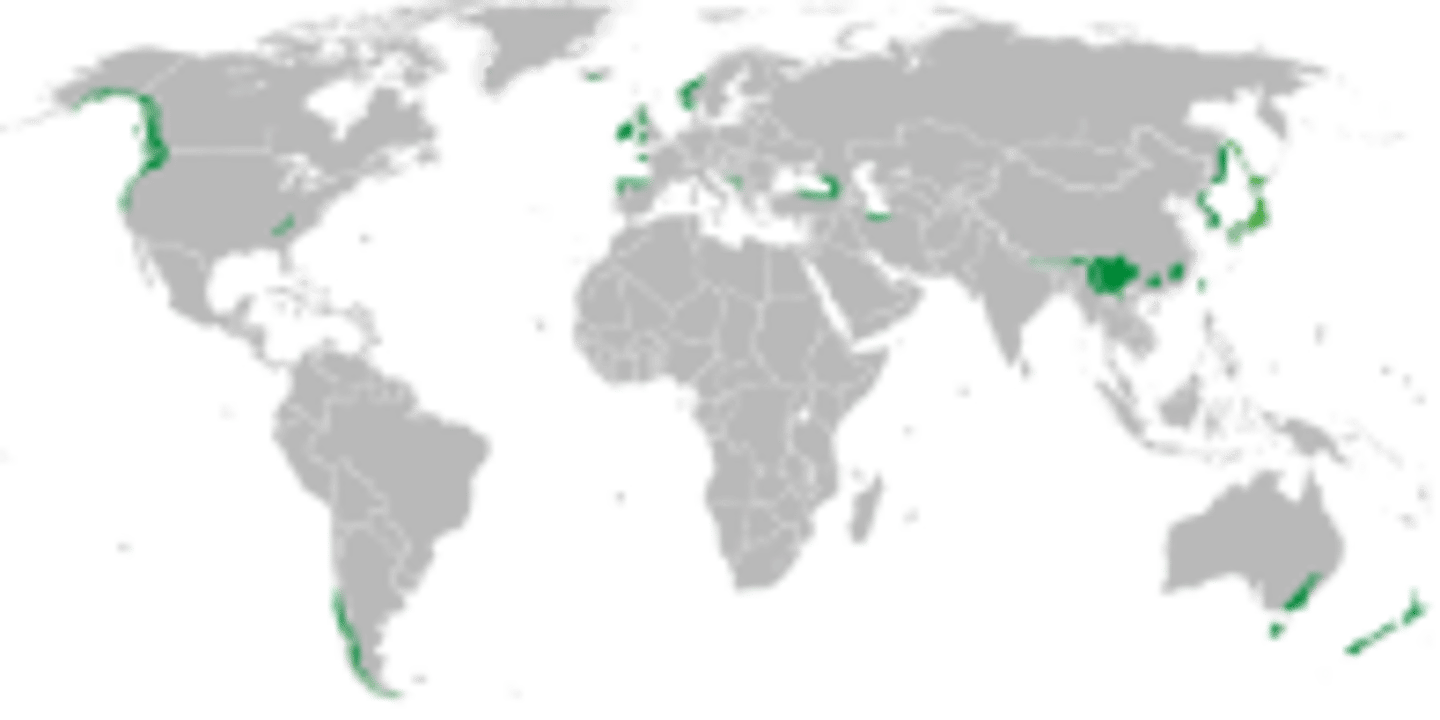 <p>coastal, mid-latitude</p>