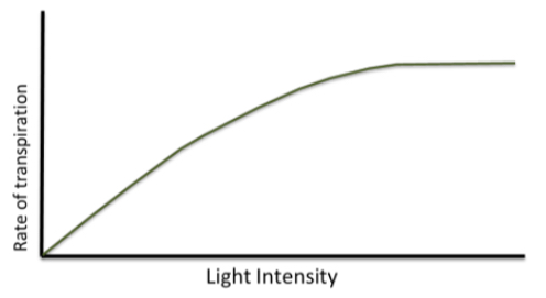 <p>how is the rate of transpiration affected by light intensity</p>