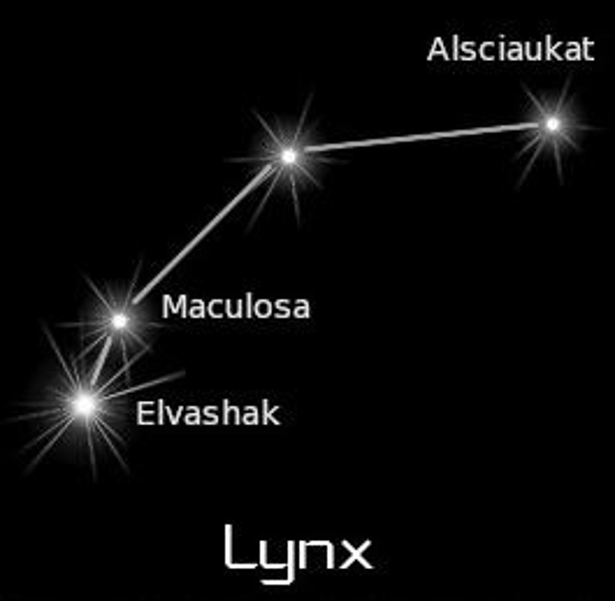 <p>lynx / brightest star: Alpha Lyncis (α Lyn)</p>