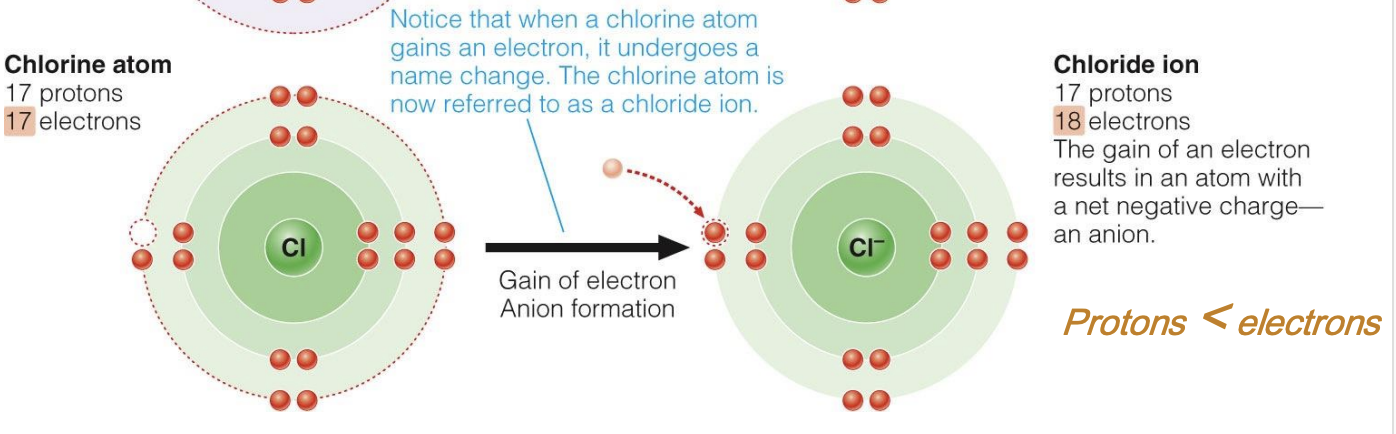 <p>gain of electron = anion formation</p>