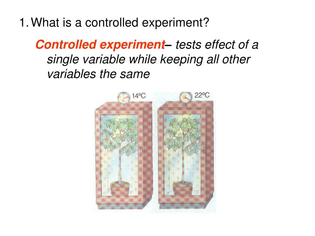 <p><span>In a </span><strong>controlled experiment</strong><span>, all variables other than the independent variable are controlled or held constant so they don’t influence the dependent variable.</span></p>