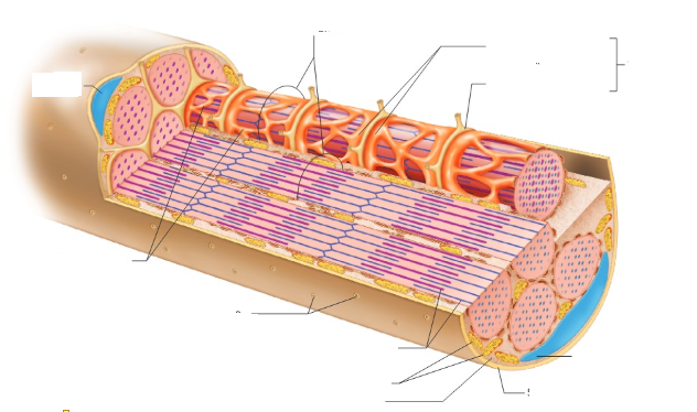 <p>Label the following: </p>