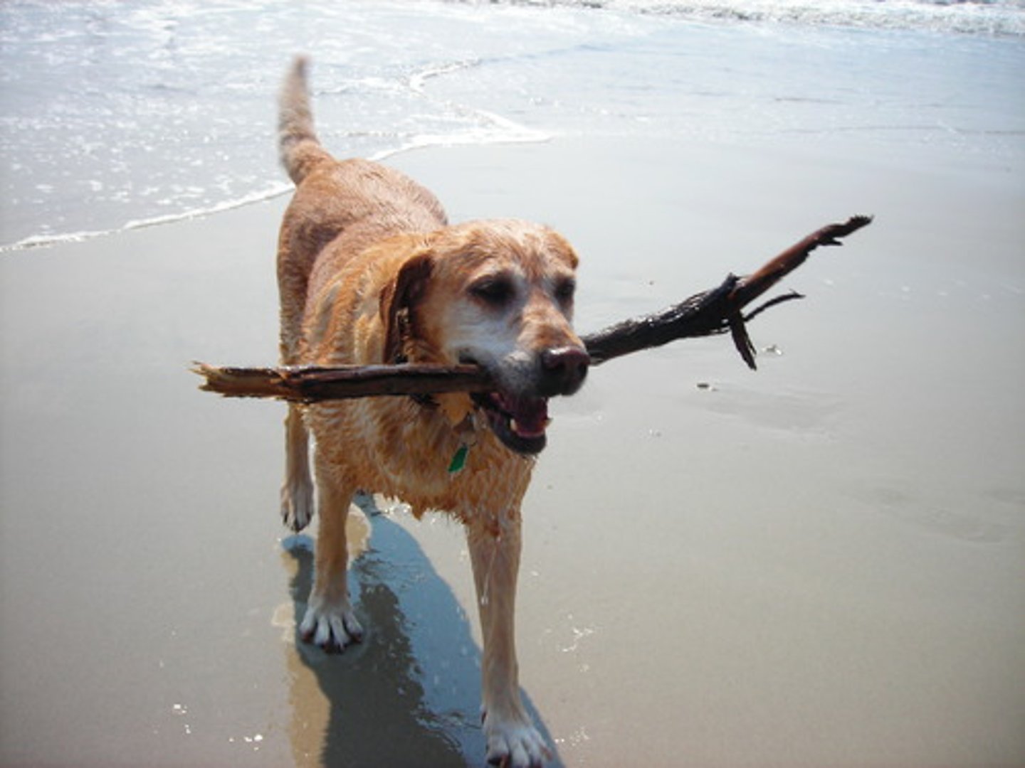 <p>to get, fetch</p>