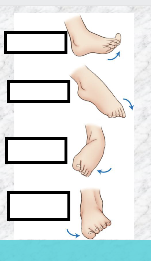 <p>Determine movements</p>