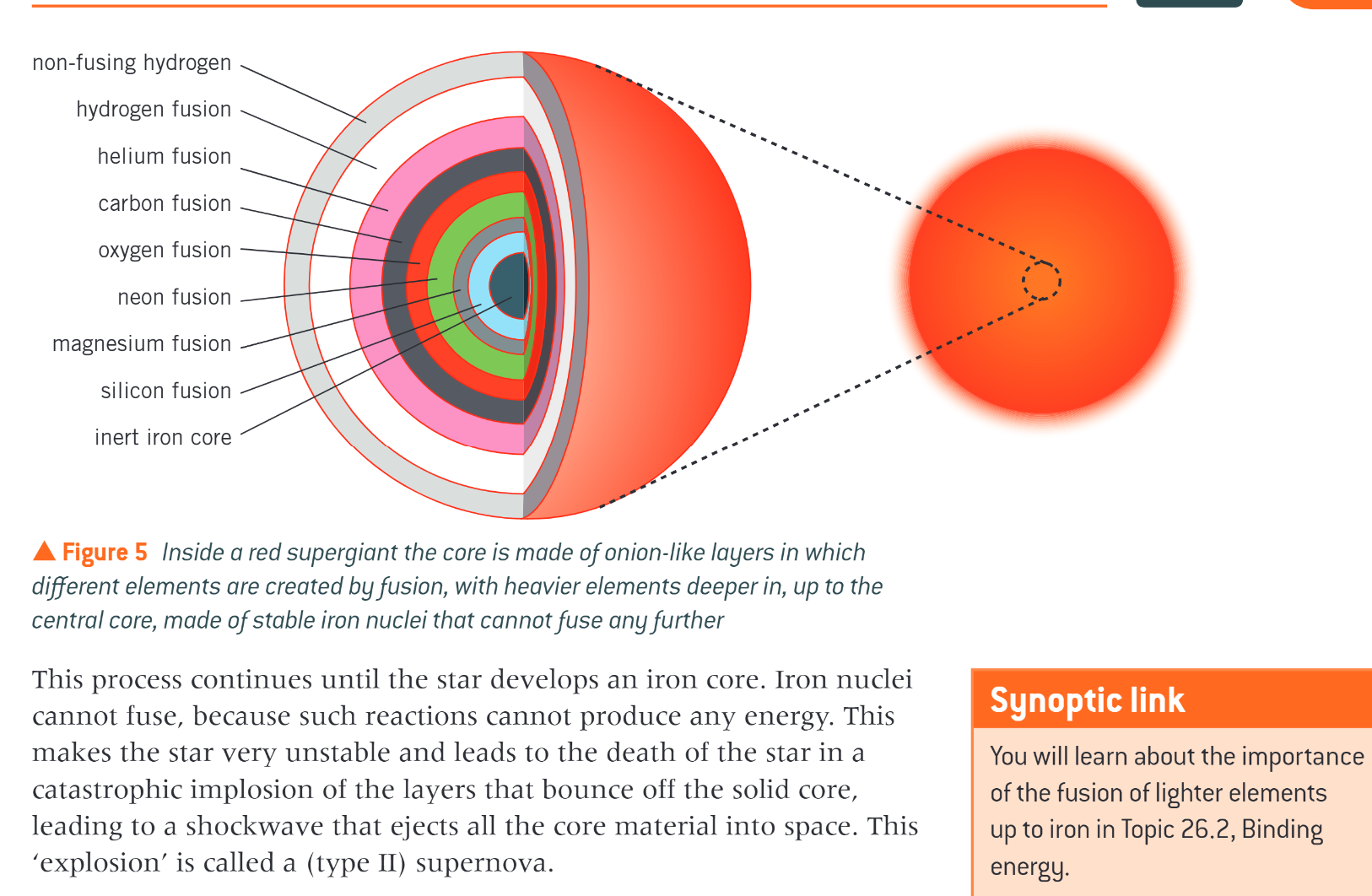 <p>massive nuclei together, forming a series of shells inside the star&nbsp;</p>
