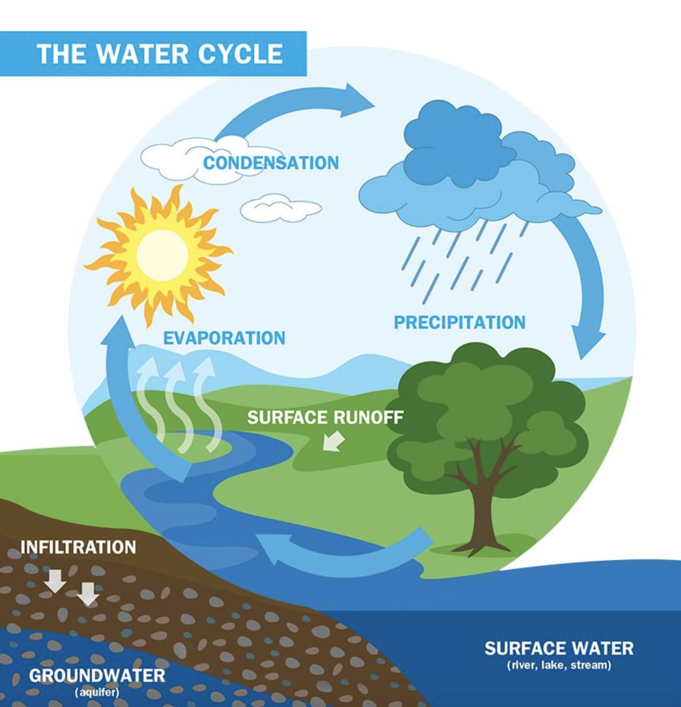 <p>the continuous movement of water on, above, and below the surface of the Earth</p>