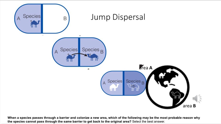 <p>Long distance movement usually across inhospitable terrain and in short time frame (within lifespan)</p><ul><li><p><span style="background-color: transparent;">Disjunct/discontinuous: ≥2 groups with widely sep geography; sometimes caused by jump dispersal</span></p></li></ul><p></p>