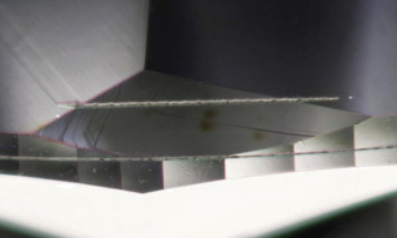 <p>What blemish is this?</p>