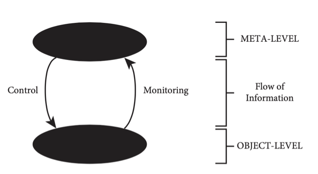 <p>The cognitive task itself; our current cognition, what we’re currently thinking about or working on (e.g., reading, learning/encoding, recalling, others thoughts we may have, behaviors)</p>