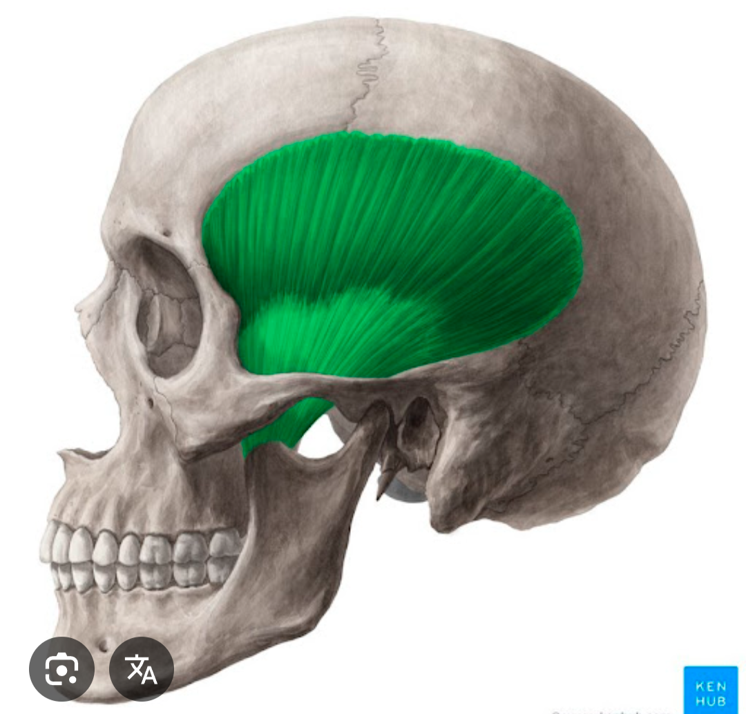 <p>What is highlighted?</p>