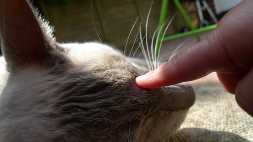 The appearance of physical facilities, equipment, personnel, and communication materials.