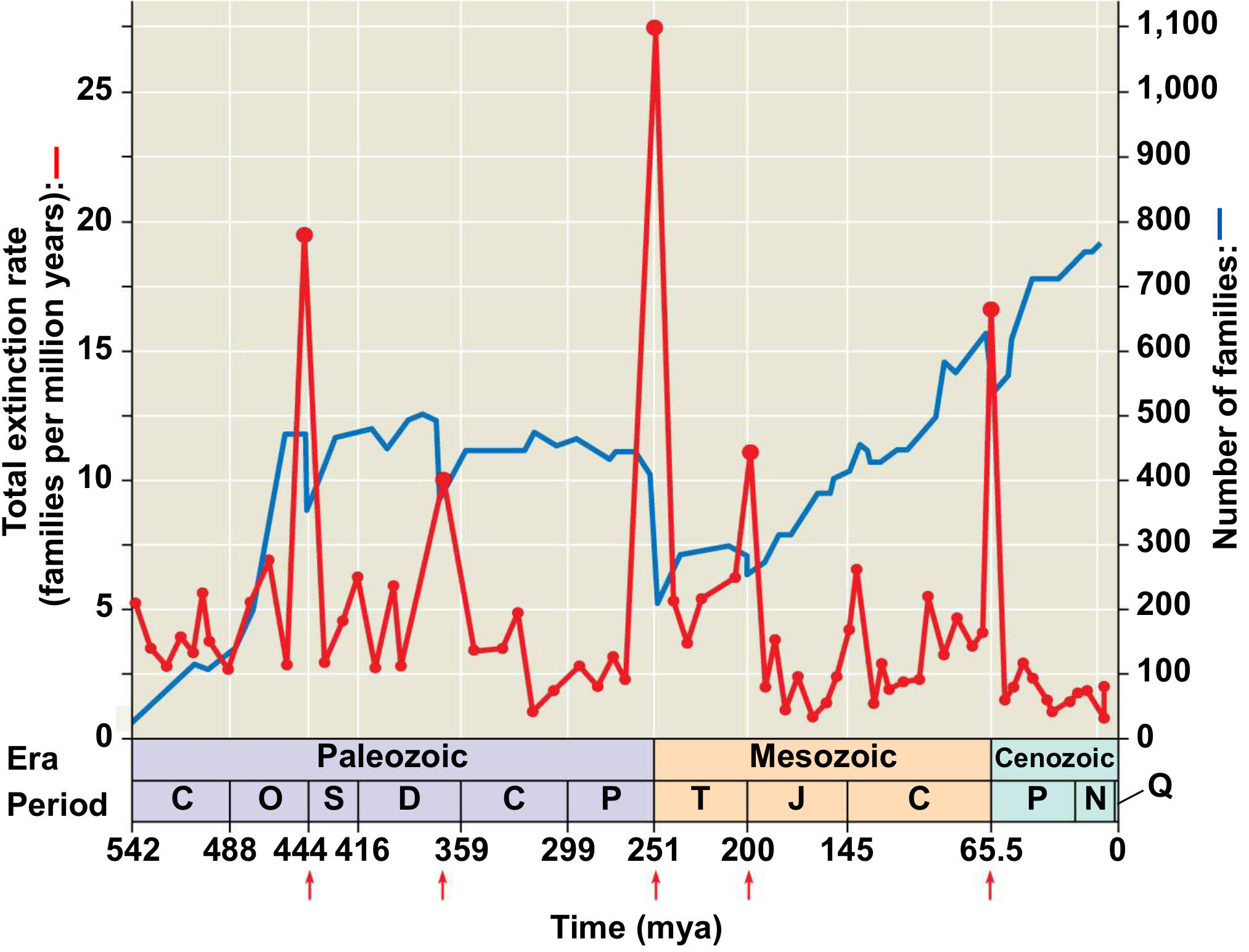<p>Years: around 201 Mya</p><p>Extinction: 80%</p><p>What happened: <span>Underwater volcanic activity cause the mass release of carbon dioxide + hydrogen sulfide into the atmosphere.</span><br><span>Causes global warming and ocean acidification</span></p>