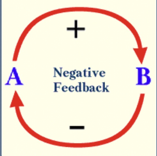 <p>Negative feedback</p>