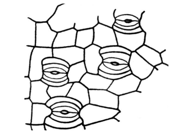 <p></p>
