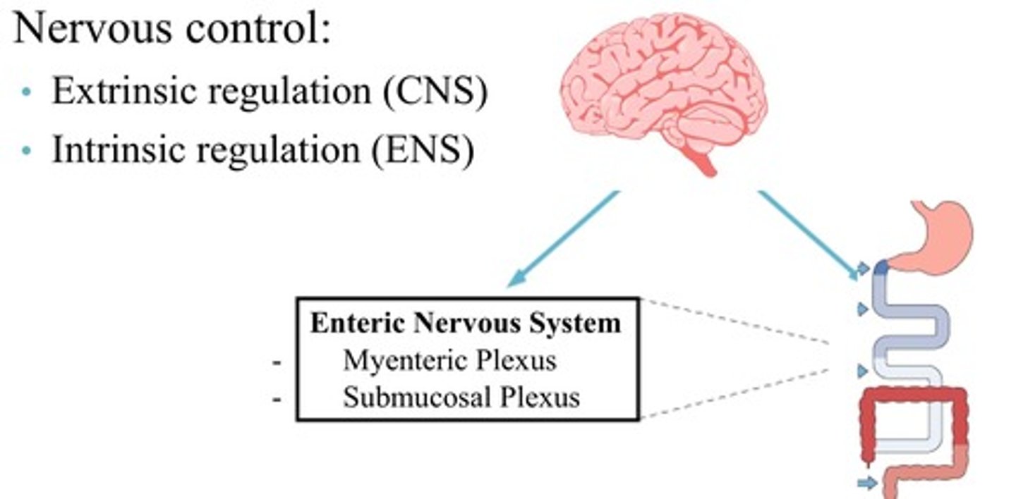 <p>Hormones released by action potential (AP), stimuli, from nervous system.</p><p>Like adrenalin/noradrenalin (directly to adrenal gland), ADH and oxytocin (to posterior pituitary gland)</p>
