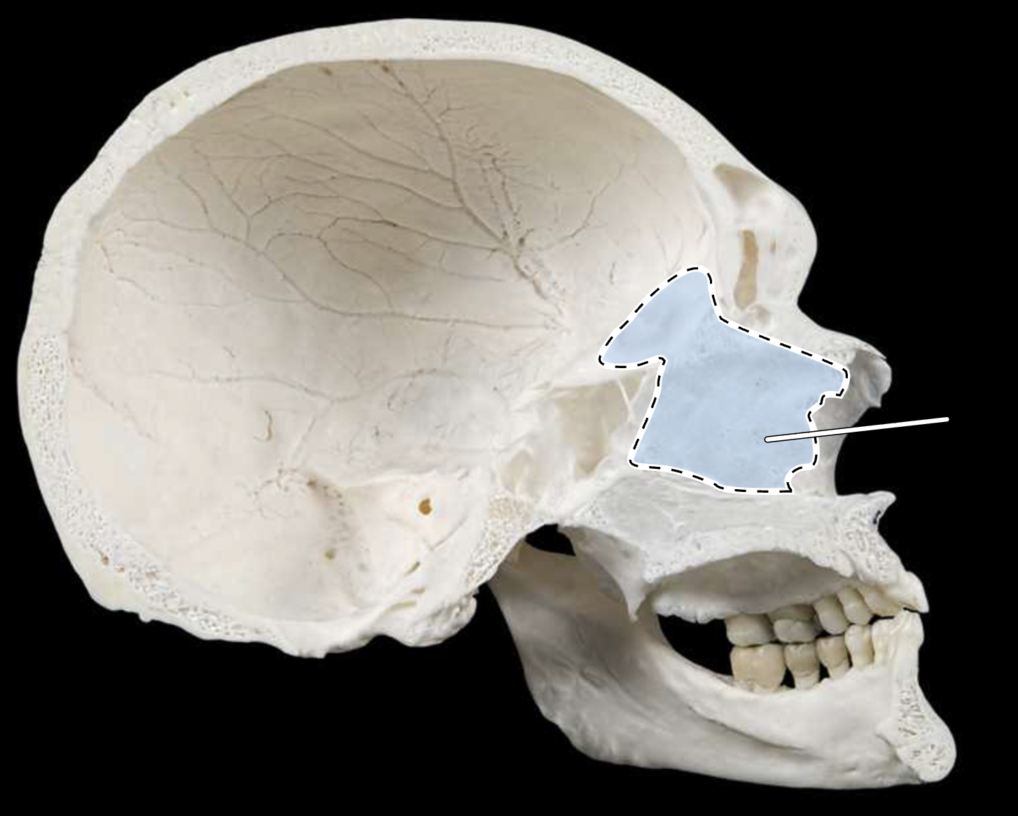 <p>?</p>
