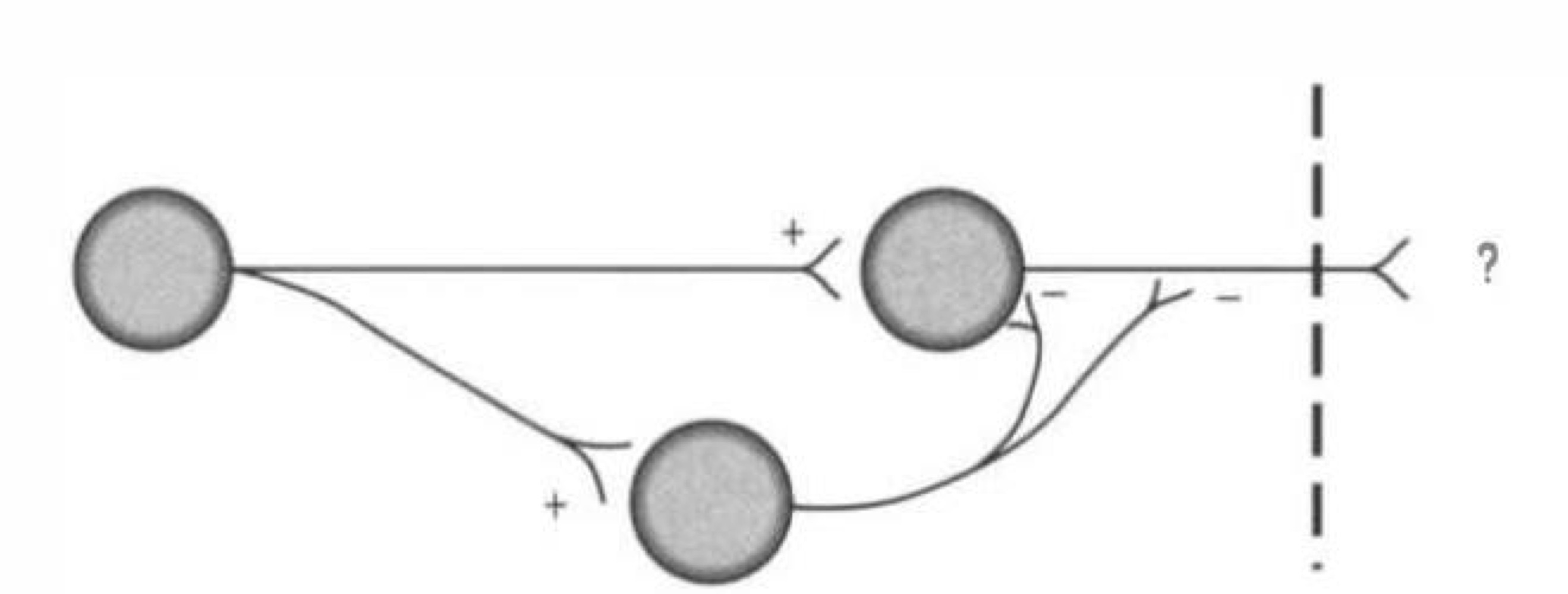<p>what type of connection is this </p>